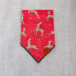 The Foggy Dog Bandana